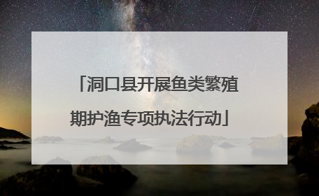 洞口县开展鱼类繁殖期护渔专项执法行动
