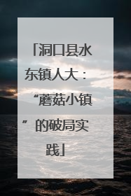 洞口县水东镇人大：“蘑菇小镇”的破局实践