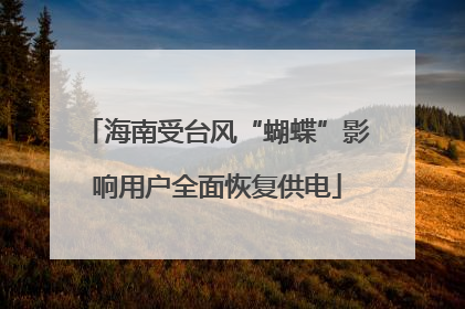 海南受台风“蝴蝶”影响用户全面恢复供电