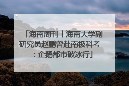 海南周刊丨海南大学副研究员赵鹏曾赴南极科考：企鹅都市破冰行