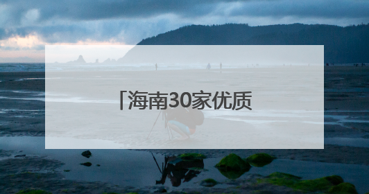 海南30家优质企业亮相中博会