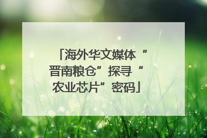 海外华文媒体“晋南粮仓”探寻“农业芯片”密码