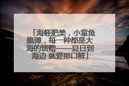 海蛏肥美，小章鱼脆弹，每一种都是大海的馈赠——夏日到海边 就爱那口鲜