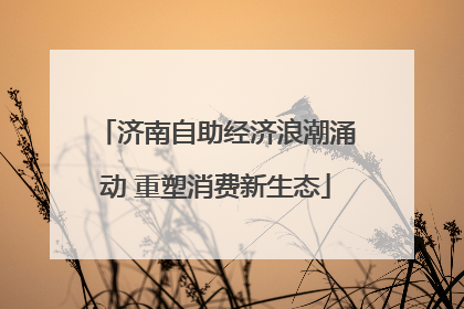 济南自助经济浪潮涌动 重塑消费新生态