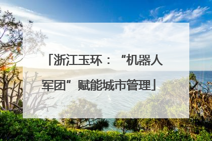 浙江玉环：“机器人军团”赋能城市管理