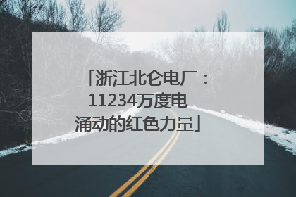 浙江北仑电厂：11234万度电涌动的红色力量