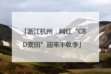 浙江杭州：网红“CBD麦田”迎来丰收季