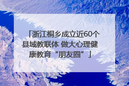 浙江桐乡成立近60个县域教联体 做大心理健康教育“朋友圈”