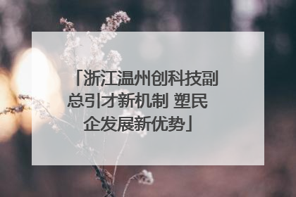 浙江温州创科技副总引才新机制 塑民企发展新优势