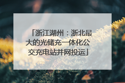 浙江湖州：浙北最大的光储充一体化公交充电站并网投运
