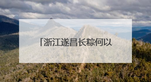 浙江遂昌长粽何以“出圈”？“七十二变”中探新路