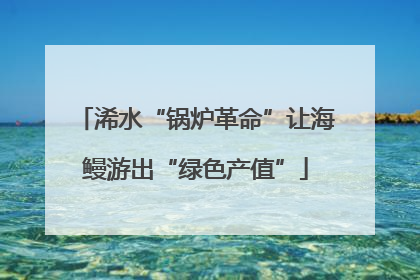 浠水“锅炉革命”让海鳗游出“绿色产值”