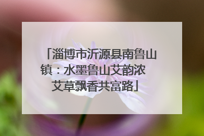淄博市沂源县南鲁山镇：水墨鲁山艾韵浓 艾草飘香共富路