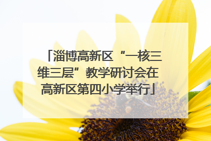 淄博高新区“一核三维三层”教学研讨会在高新区第四小学举行