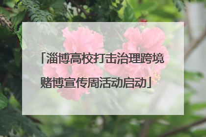 淄博高校打击治理跨境赌博宣传周活动启动