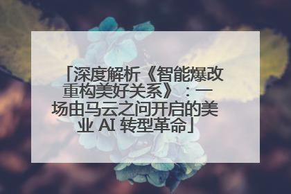 深度解析《智能爆改 重构美好关系》：一场由马云之问开启的美业 AI 转型革命