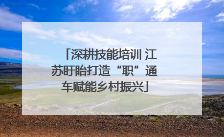 深耕技能培训 江苏盱眙打造“职”通车赋能乡村振兴