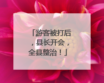 游客被打后，县长开会，全县整治！