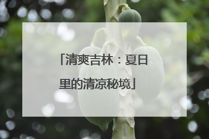 清爽吉林：夏日里的清凉秘境