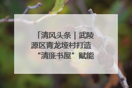 清风头条｜武陵源区青龙垭村打造“清廉书屋”赋能乡村振兴新风尚