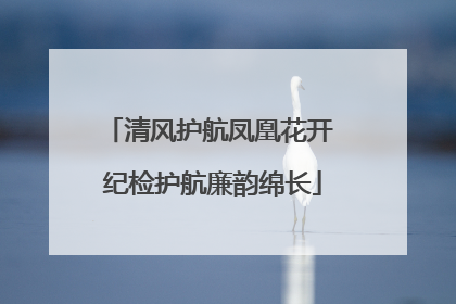 清风护航凤凰花开 纪检护航廉韵绵长