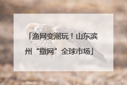 渔网变潮玩！山东滨州“撒网”全球市场