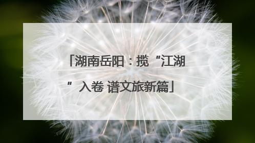湖南岳阳：揽“江湖”入卷 谱文旅新篇