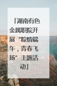 湖南有色金属职院开展“粽情端午，青春飞扬”主题活动