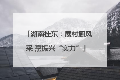 湖南桂东：展村厨风采 烹振兴“实力”