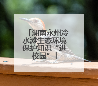 湖南永州冷水滩生态环境保护知识“进校园”