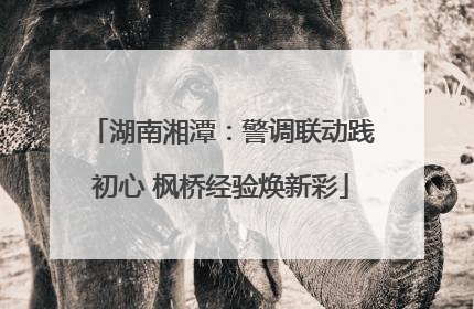 湖南湘潭：警调联动践初心 枫桥经验焕新彩