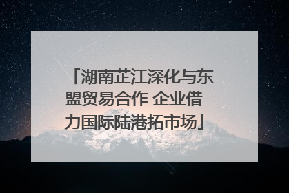 湖南芷江深化与东盟贸易合作 企业借力国际陆港拓市场
