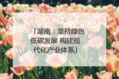 湖南：坚持绿色低碳发展 构建现代化产业体系