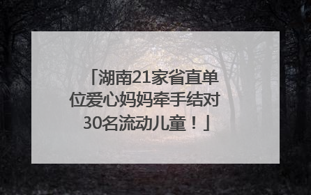 湖南21家省直单位爱心妈妈牵手结对30名流动儿童！