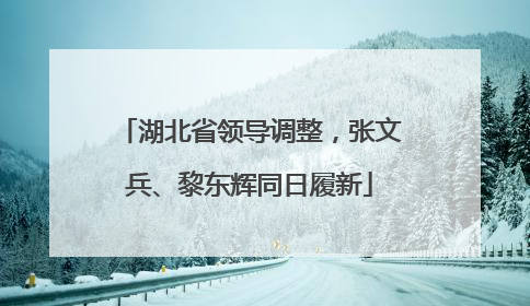 湖北省领导调整，张文兵、黎东辉同日履新