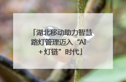 湖北移动助力智慧路灯管理迈入“AI＋灯链”时代