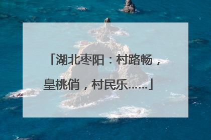 湖北枣阳：村路畅，皇桃俏，村民乐……