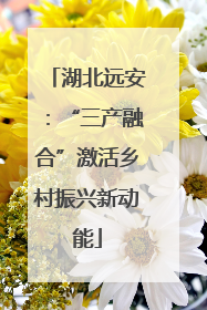 湖北远安：“三产融合”激活乡村振兴新动能