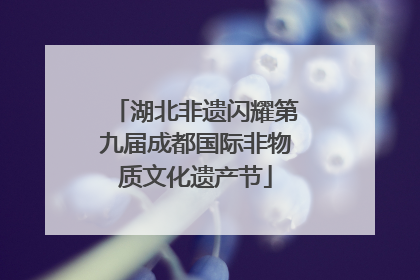 湖北非遗闪耀第九届成都国际非物质文化遗产节
