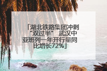 湖北铁路集团冲刺“双过半” 武汉中亚班列一年开行量同比增长72%