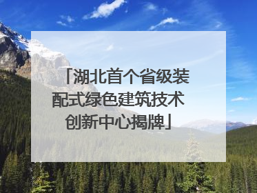 湖北首个省级装配式绿色建筑技术创新中心揭牌