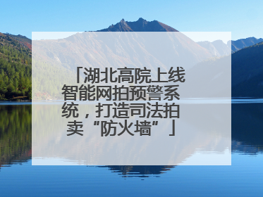 湖北高院上线智能网拍预警系统，打造司法拍卖“防火墙”