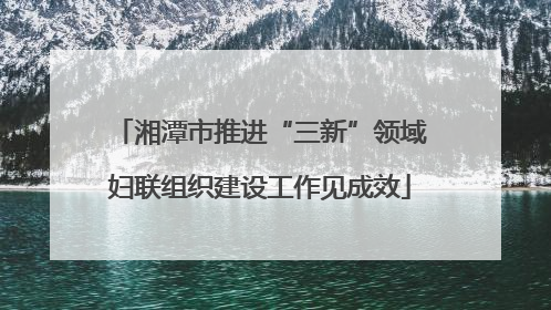湘潭市推进“三新”领域妇联组织建设工作见成效