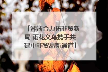 湘浙合力拓非贸新局 雨花义乌携手共建中非贸易新通道