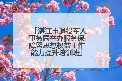 湛江市退役军人事务局举办服务保障暨思想权益工作能力提升培训班