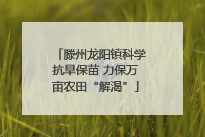 滕州龙阳镇科学抗旱保苗 力保万亩农田“解渴”