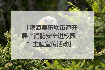 滨海县东坎街道开展“消防安全进校园”主题宣传活动