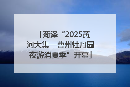 菏泽“2025黄河大集—曹州牡丹园夜游消夏季”开幕