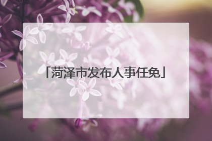 菏泽市发布人事任免