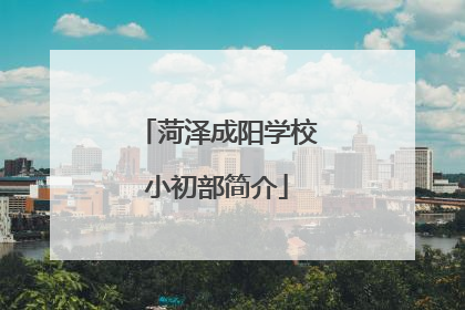 菏泽成阳学校小初部简介